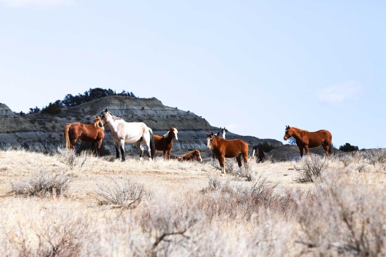 Badlands Suite Less Than 1 Mi To Teddy Roosevelt Park! Medora Exterior foto